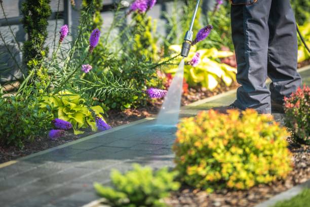 Winterizing Services in Forestville, CA