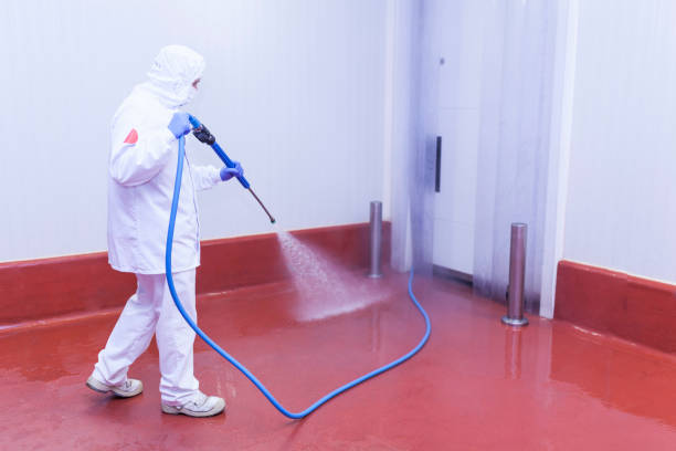 Best Rust Removal  in Forestville, CA