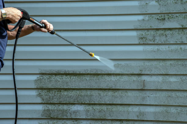 Best Graffiti Removal  in Forestville, CA